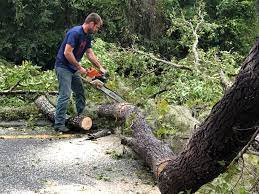 East Merrimack, NH  Tree Services Company